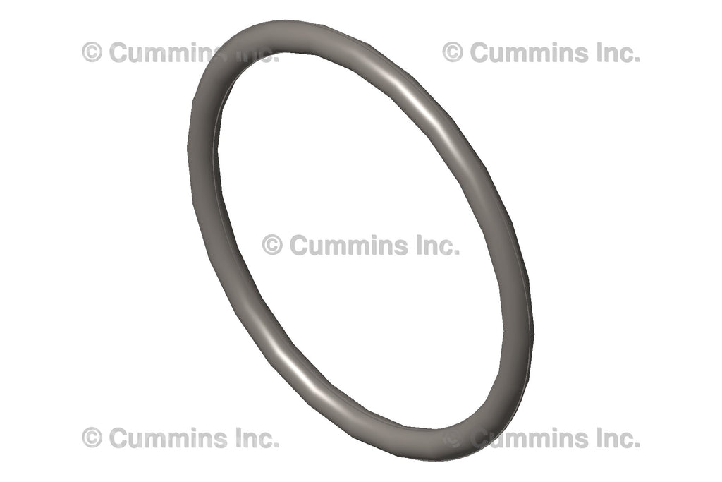 3075658 SEAL,O RING Image 1