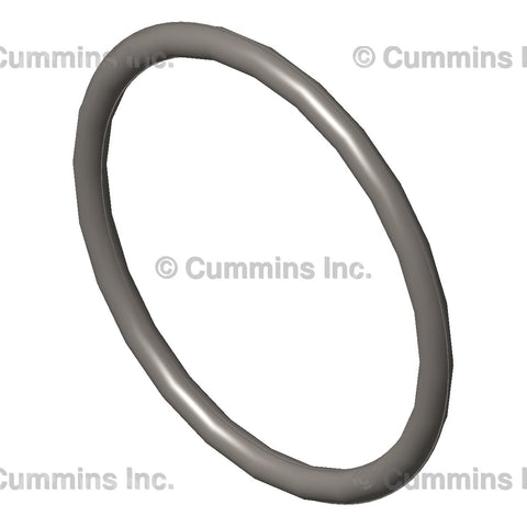 3075658 SEAL,O RING Image 1