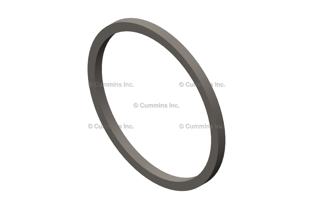 3080769 SEAL,RECTANGULAR RING