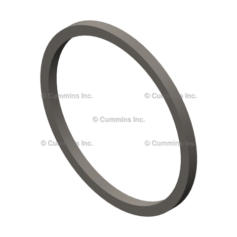 3080769 SEAL,RECTANGULAR RING
