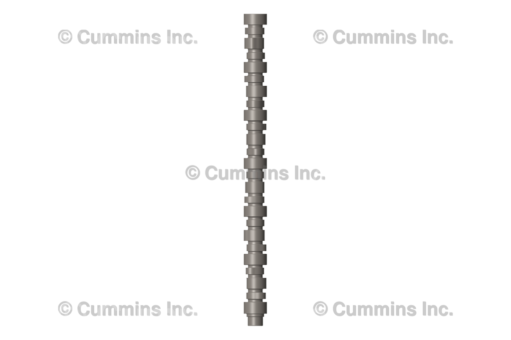 3102901 CAMSHAFT