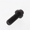 3103423CUM ScrewTwelve Point Cap