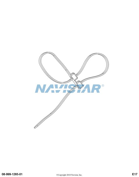 3599896C1 STRAP CABLE LOCK  16 IN DOUBLE