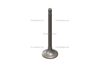 3686661 ValveExhaust