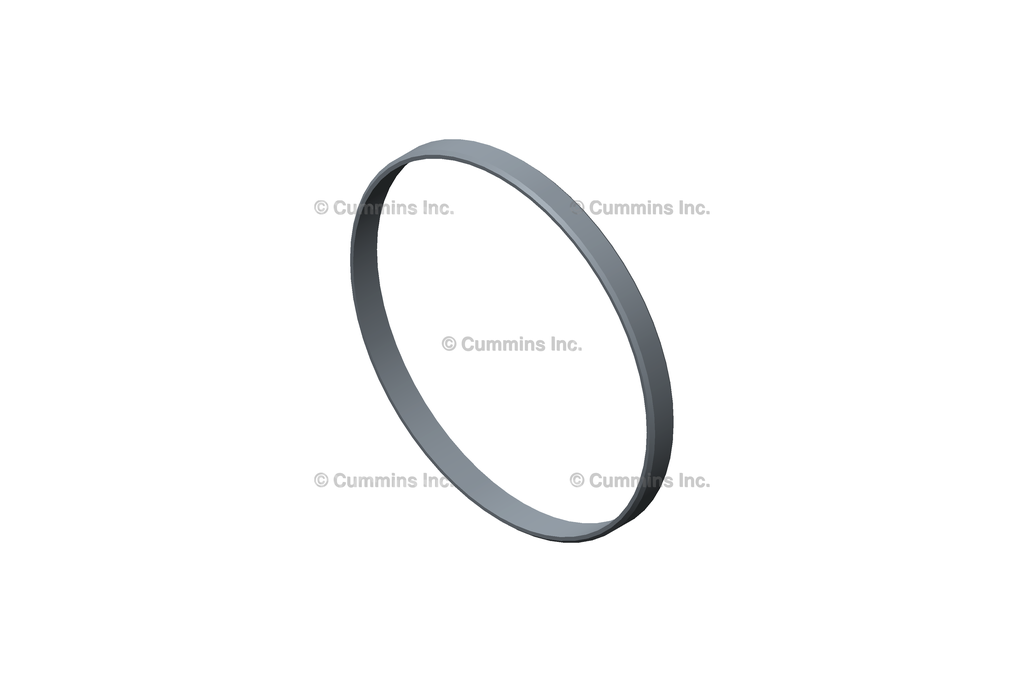 3689871 RING,ANTIPOLISHIN