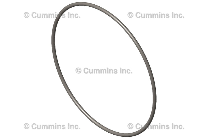 3820791 SEAL,O RING Image 1