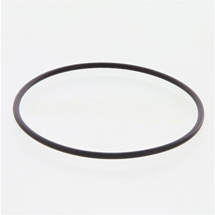 3899283CUM SealO Ring