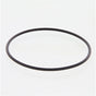 3899283CUM SealO Ring