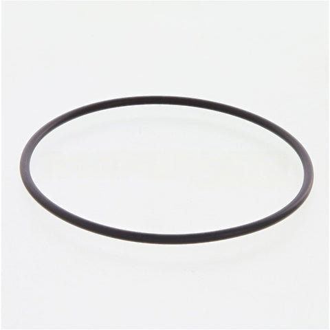 3899283CUM SealO Ring