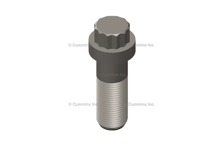 3901617 ScrewTwelve Point Cap