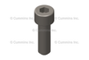 3902093 ScrewSocket Head Cap