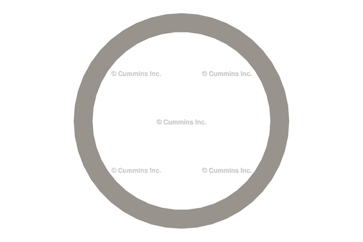 3902425 WASHER,SEALING