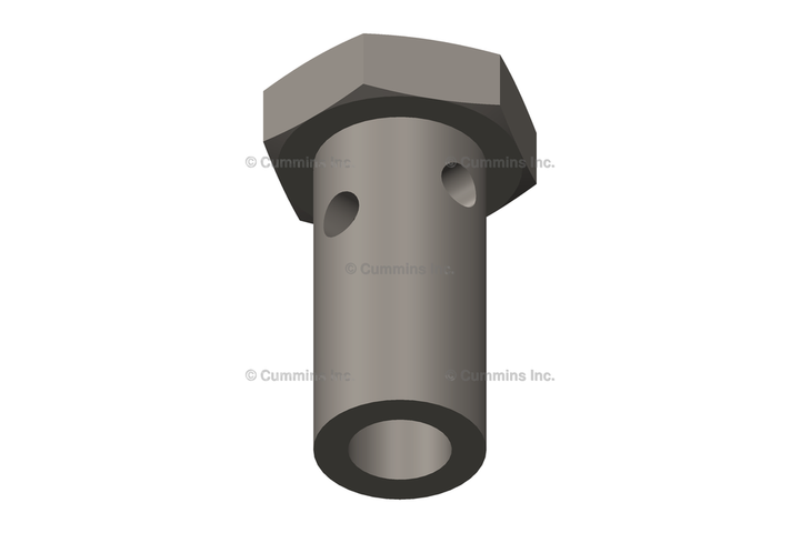 3903035 SCREW,BANJO CONNECTOR