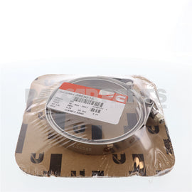 3905216CUM ClampV Band