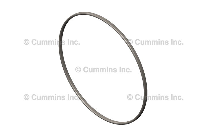 3906694 SEAL,RECTANGULAR RING