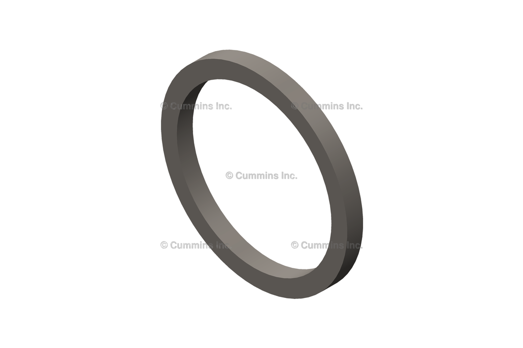 3906697 SEAL,RECTANGULAR RING