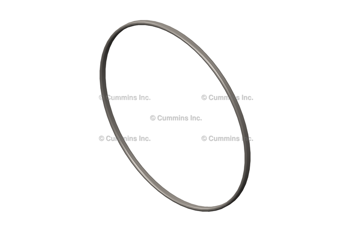 3907177 SealRectangular Ring