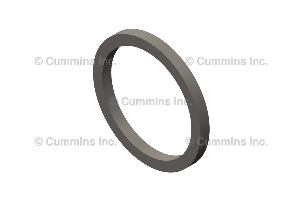 3909356 SEAL,RECTANGULAR RING