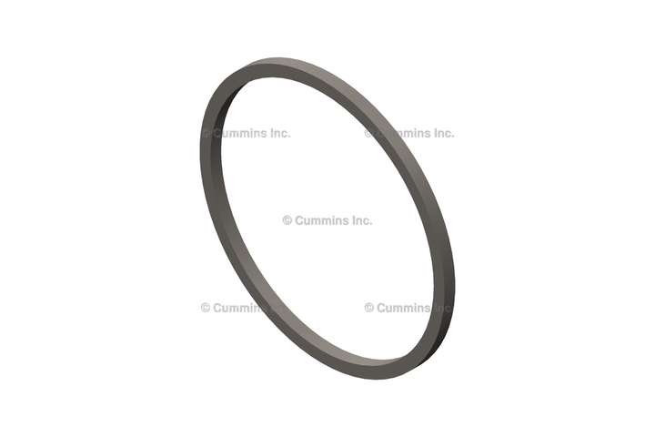 3915772 SEAL,RECTANGULAR RING