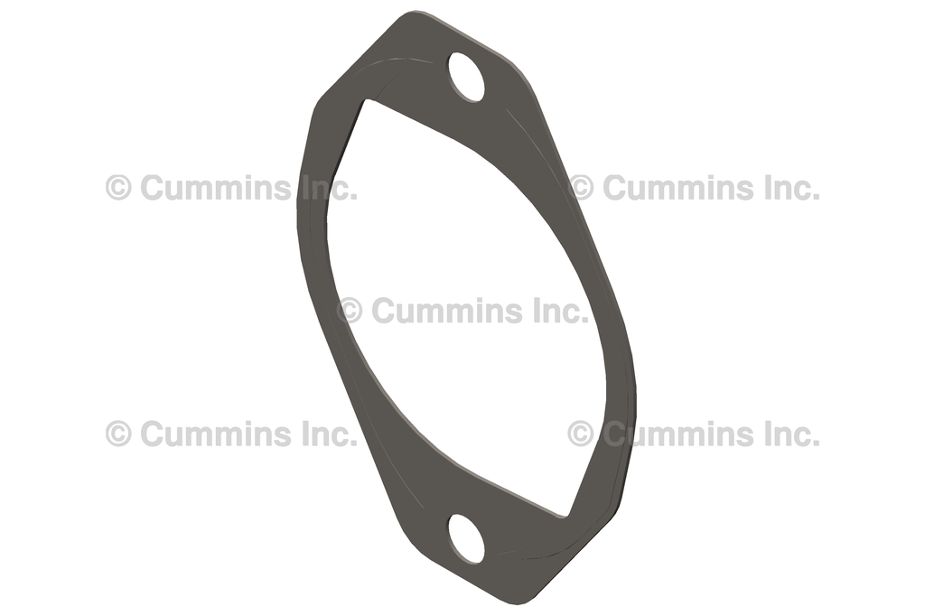 3916042 GASKET,HYDRAULIC PUMP