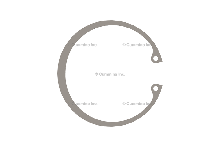 3920692 RingRetaining