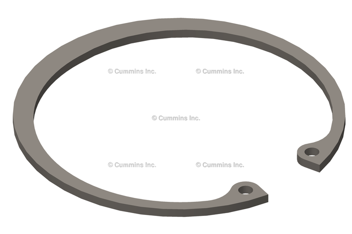 3920692 RingRetaining