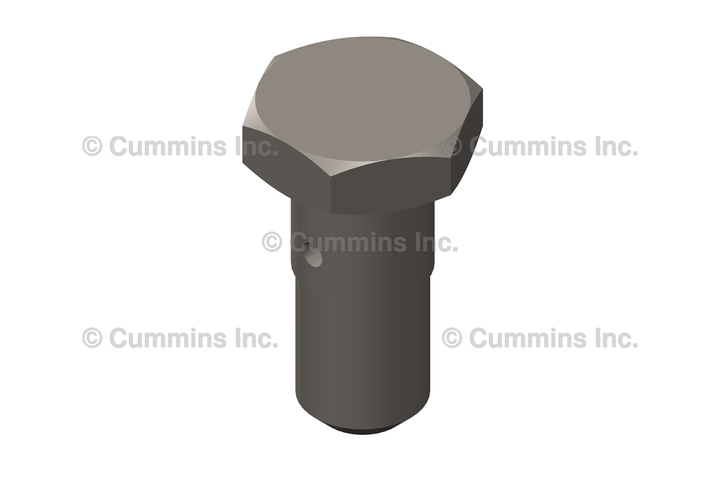 3924726 VALVE,CHECK