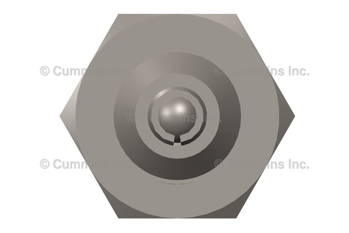 3924726 VALVE,CHECK