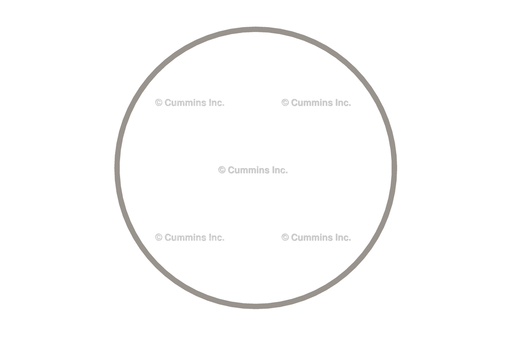 3936302 SEAL,RECTANGULAR RING