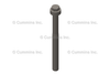 3968466 SCREW,TWELVE POINT CAP