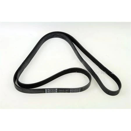 3974249CUM BeltV Ribbed