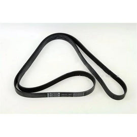 3974249CUM BeltV Ribbed