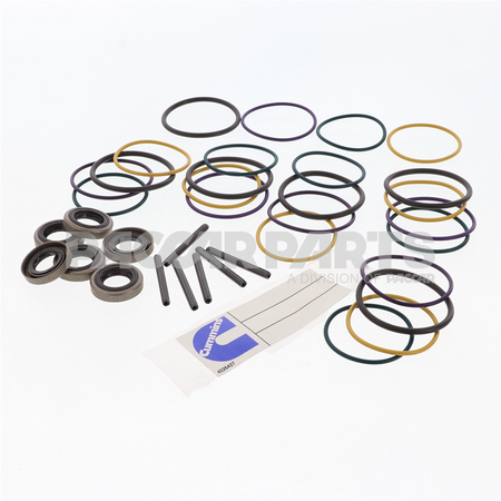4025063CUM KIT,SEAL