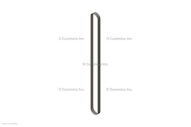 4941303 BELT,V RIBBED