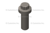 4954275 ScrewTwelve Point Cap
