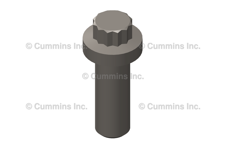 4954275 ScrewTwelve Point Cap