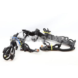 5263085CUM HarnessEtr Cnt Mdl Wrg