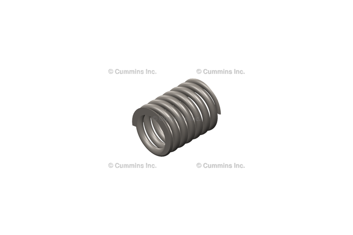 5303406 SpringValve