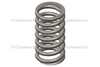 5316172 SpringValve