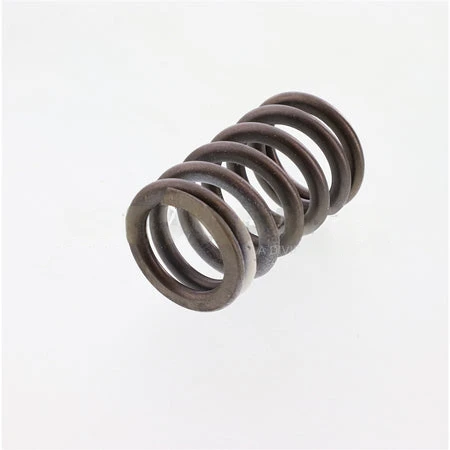 5316172CUM SpringValve