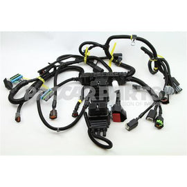 5316903CUM HarnessEtr Cnt Mdl Wrg