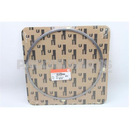 5417860CUM GasketAfm Device