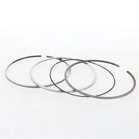 6379407CUM Kit Piston Ring