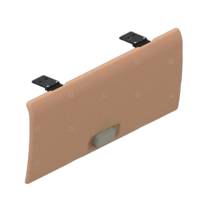 A22-46770-010 DOOR-CABINET,535MM,TAN W/AGATE LH