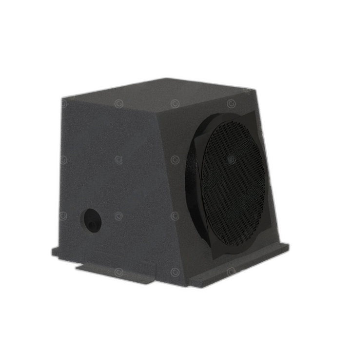 A22-62539-001 SUBWOOFER-10IN,PANAPACIFIC,P3