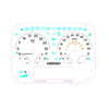 A22-74376-000 INSTRUMENT PANEL-6GAUGE,MPH,TACH,AIR,ISB