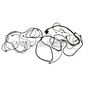 A92-1064-6808H4288 Harness  21M Abs Chassis Bendix