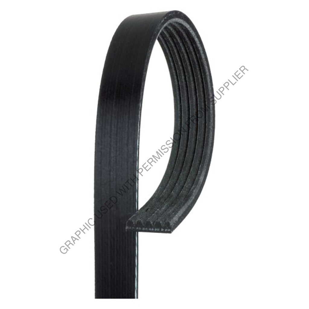 ABP N01 5K325 MULTI V-BELT, EPDM 5 RIB X 32.5 LONG