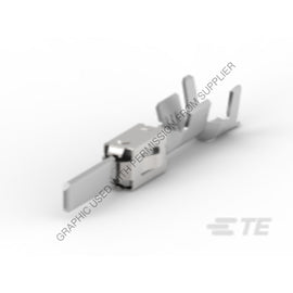 AI  1 962916 1 TERM,F-MALE,AMP