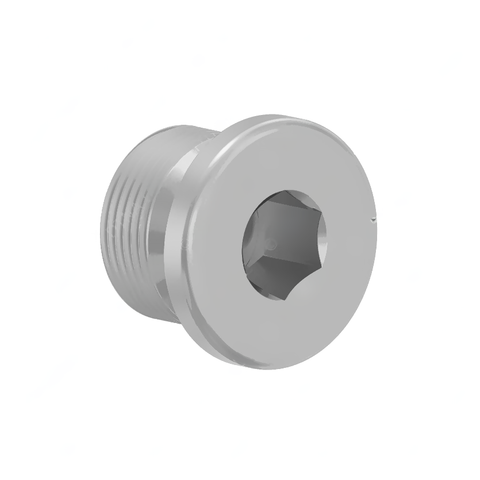 A   003 990 19 17 PLUG, DETENT (M16X1.5)